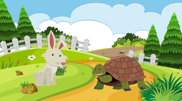 Background scene with rabbit and tortoise