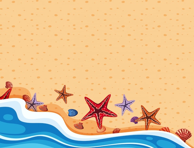 Background scene with starfish on the shore