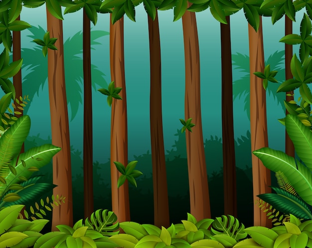 Vector background scene with trees in forest