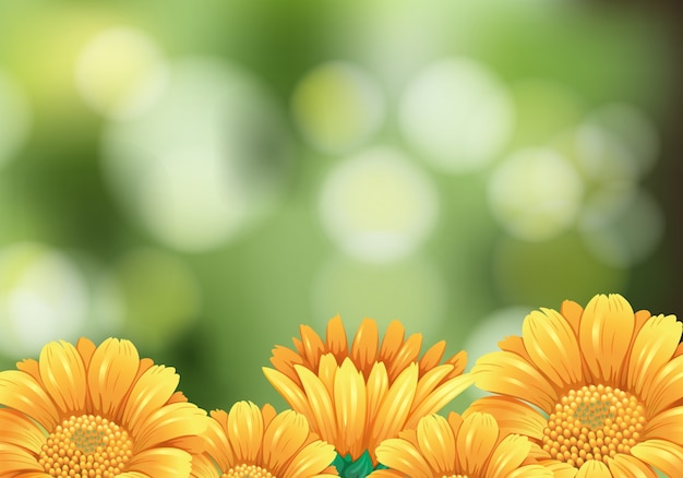 Vector background scene with yellow flowers in garden