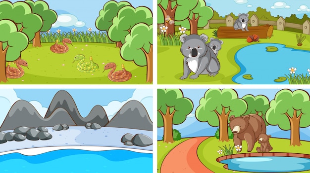 Background scenes of animals in the wild