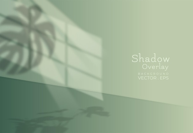 Vector background shadow overlay with window and plant shadows