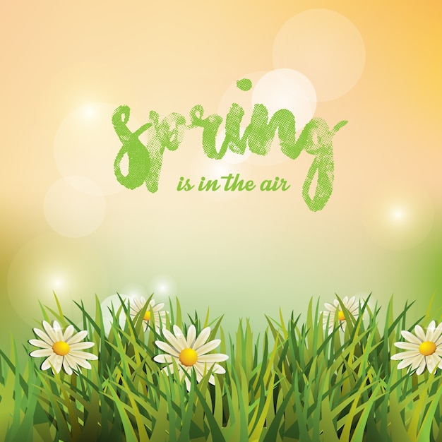 Vector background spring design