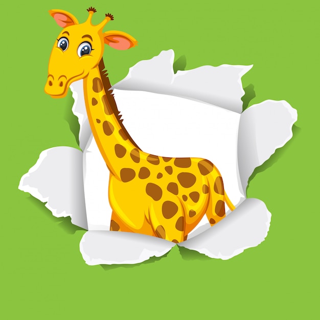 Background template design with wild giraffe on green paper