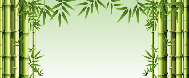 Background template with green bamboo