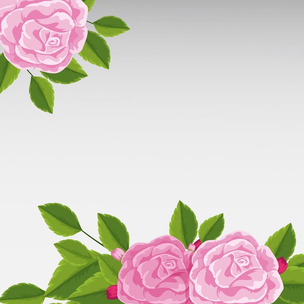 Background template with pink roses