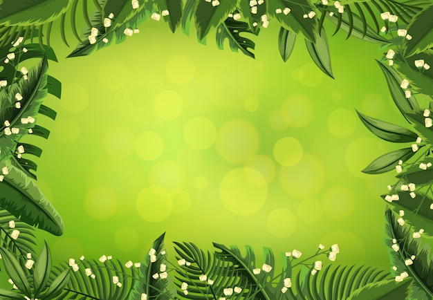Background template with white flowers and green leaves