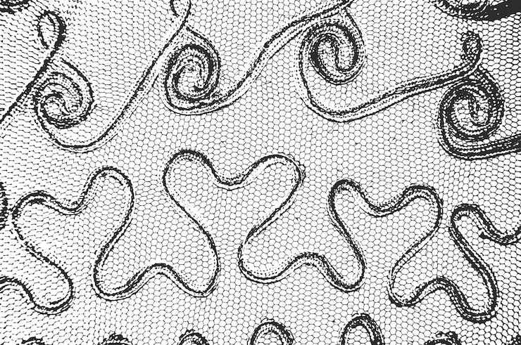 Vector background texture of fabric with ornament on a black and white background eps8 vector