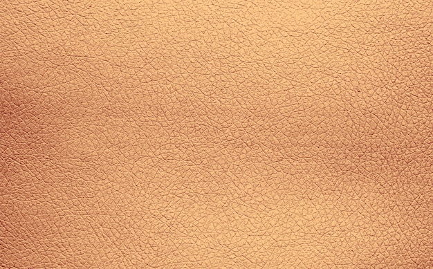 Vector background texture pattern of beige natural leather grain