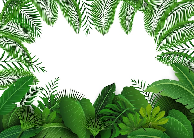 Vector background of tropical leaves