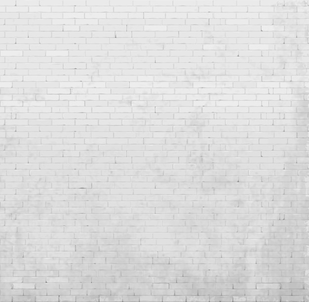 Vettore muro di sfondo vecchio mattone dipinto di bianco mattone dipinto