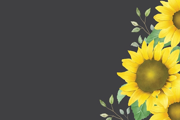 Vector background watercolor sun flower