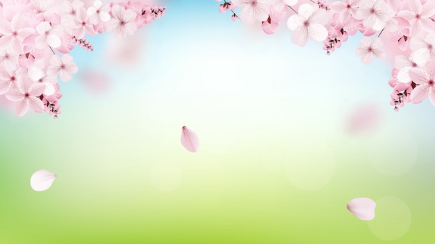 Background with blossoming light pink sakura flowers