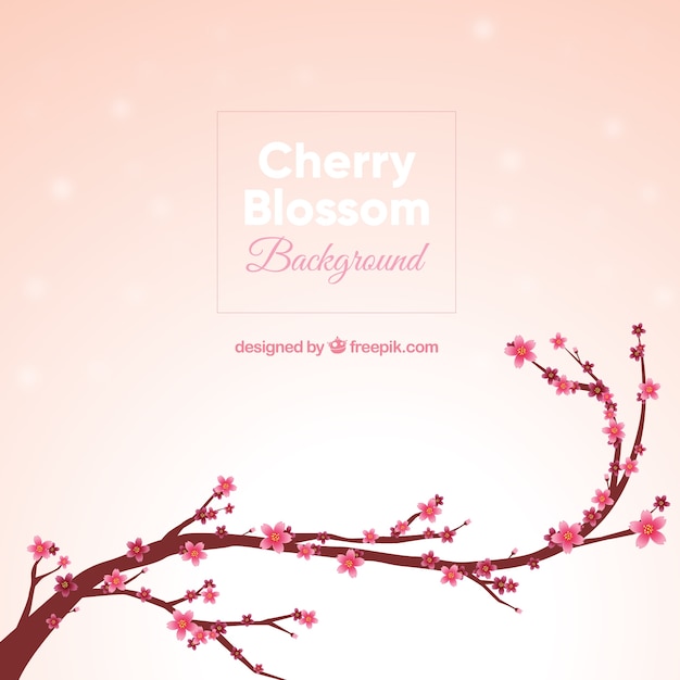 Vector background with cherry blossom in flat design