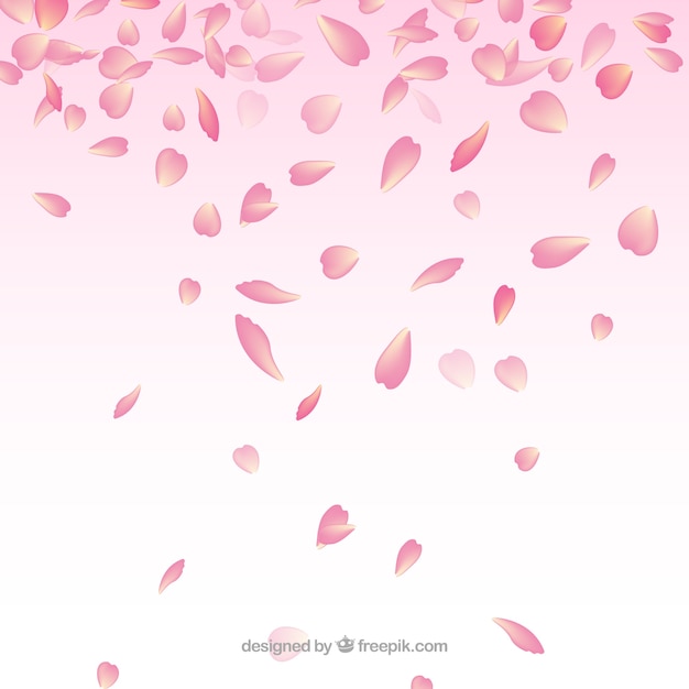background with cherry blossom petals