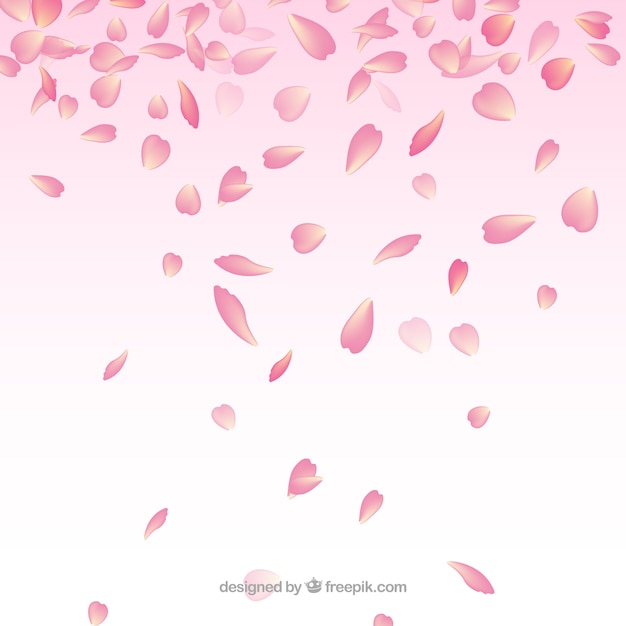 Vector background with cherry blossom petals