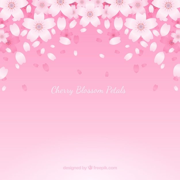background with cherry blossom petals