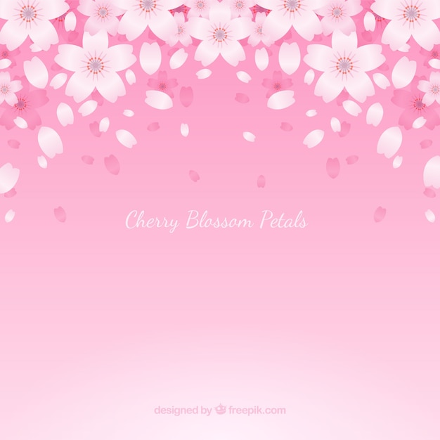 Background with cherry blossom petals