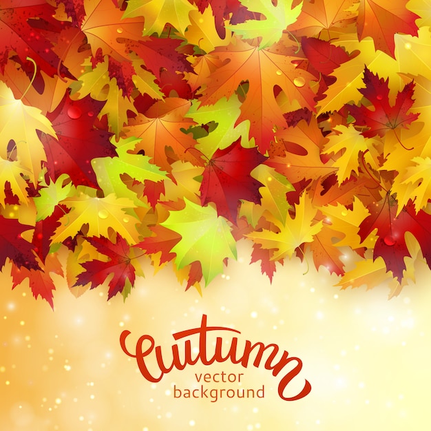 background with colorful autumn leaves