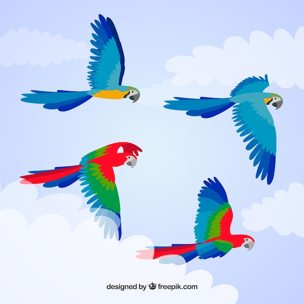 Vector background with colorful birds