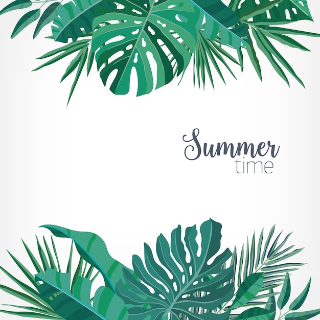 background with green palm and monstera leaves or foliage of rainforest plants at top and bottom edges and place for text.