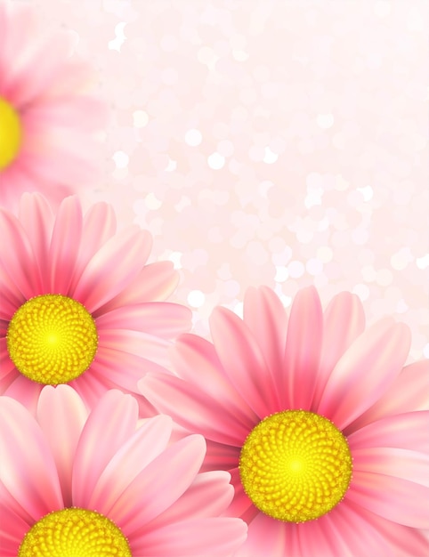 Background with pink daisy flowers.  illustration