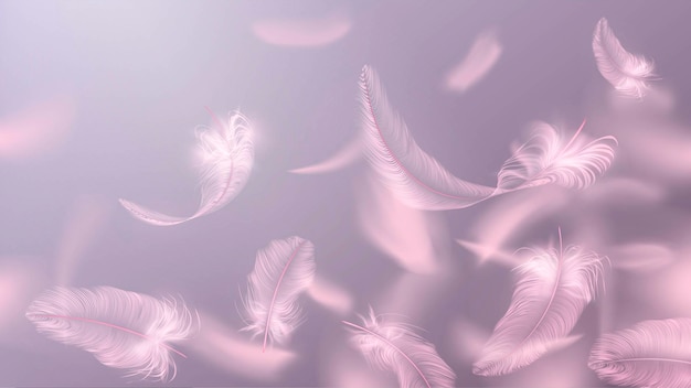 Vector background with pink feathers