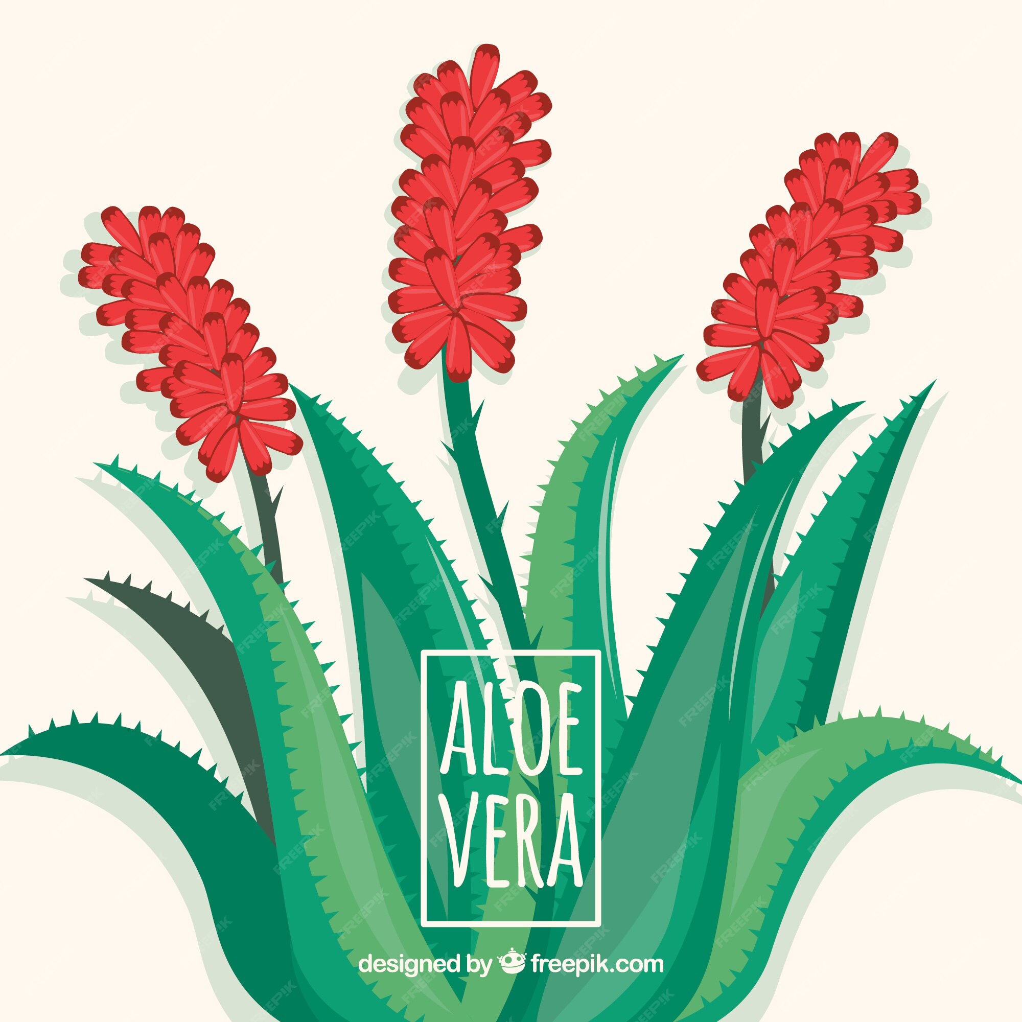 Premium Vector | Background with pretty aloe vera flowers