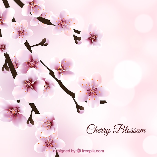 Vector background with realistic cherry blossom