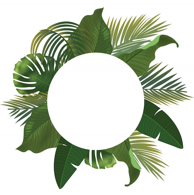 Background with realistic green palm leaf branches on white background.  lay, top view