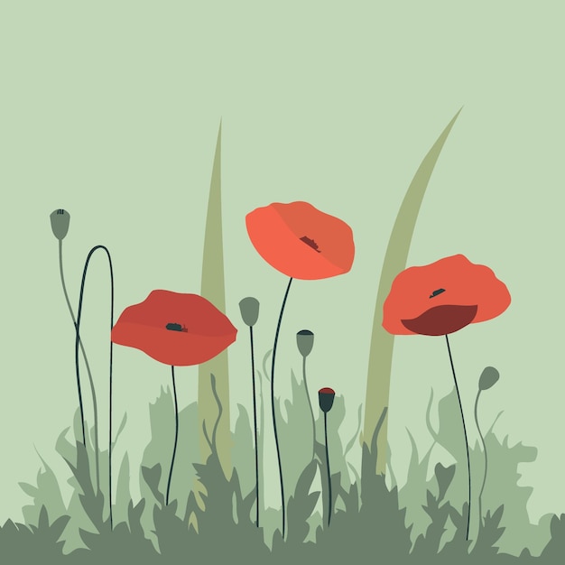 Vector background with red poppy flowers