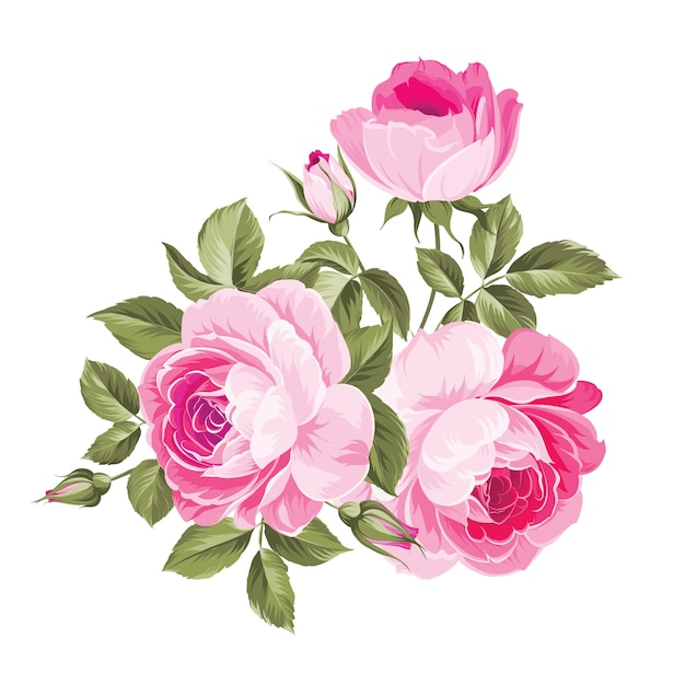 Background with roses.