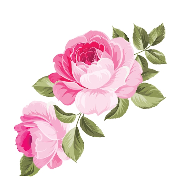 Background with roses.