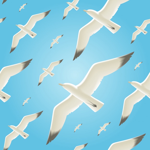 Vector background with seagulls