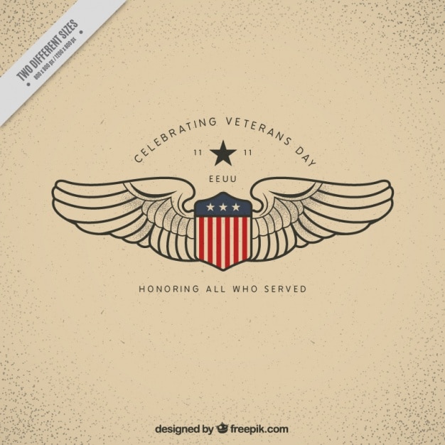 Vector background with a shield and two wings for veterans day