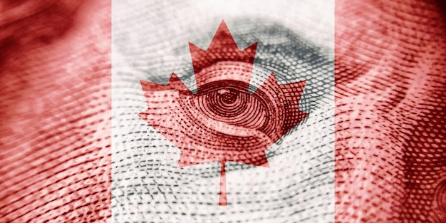 Background with symbol of canada