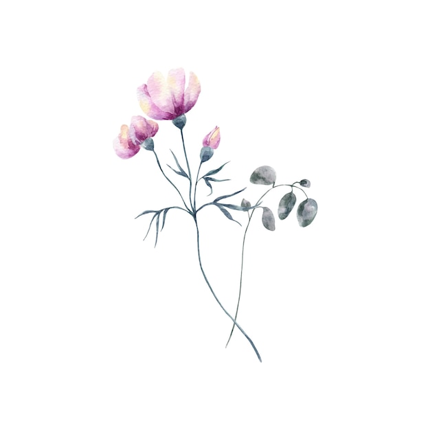 Background with watercolor flowersfloral illustration Botanic composition