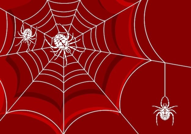 웹 및 거미, 디자인, 벡터 일러스트 레이 션에 대 한 요소와 배경