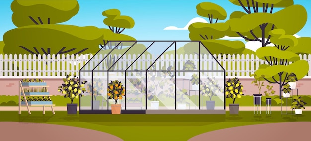 Vector backyard planting greenhouse glass orangery botanical garden with flowers and potted plants