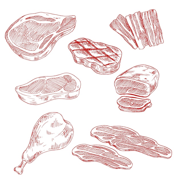 Vector bacon beef pork and chicken meat