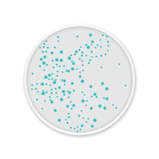 Vector bacteria colony spots on round dishes