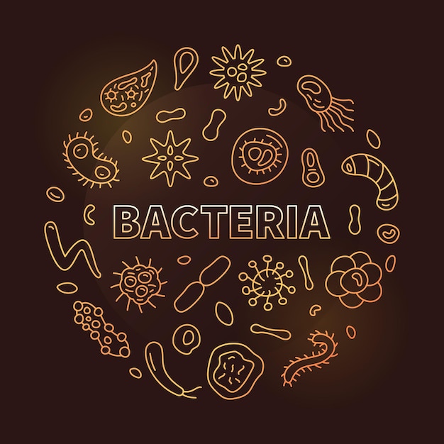 Banner rotondo dorato vettoriale del concetto di batteri con simboli di linee sottili di batteri illustrazione moderna della scienza con sfondo scuro