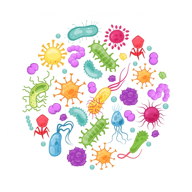 Бактериальный зародыш. желудочные вирусы биологическая аллергия микробы бактерия эпидемиология бактериальная инфекция микробы грипп заболевания вектор клетки