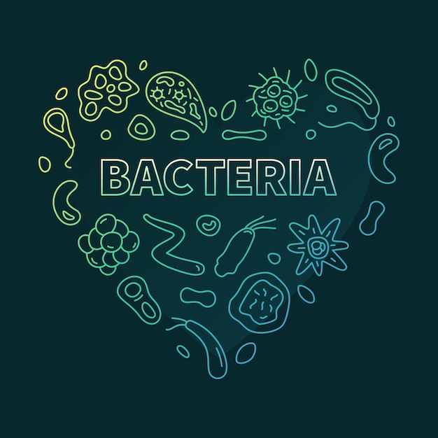 박테리아 심장 개념 벡터 박테리아 얇은 선 기호가 있는 녹색 하트 모양의 배너 어두운 배경을 가진 과학 현대 그림