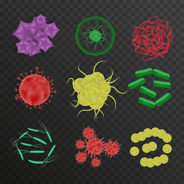 Bacteria shapes set of realistic icons on transparent background with colorful isolated images of fermentation microorganisms vector illustration