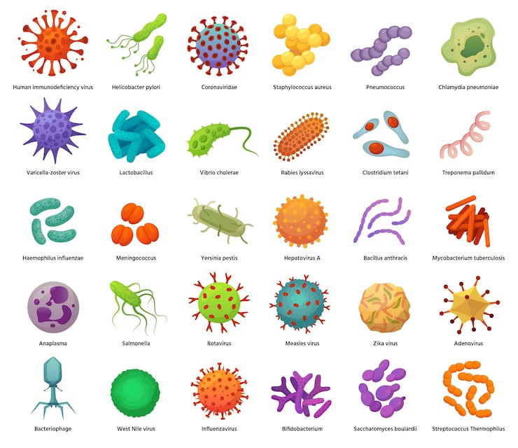 Vector 細菌とウイルスのアイコン。病気の原因となるバクテリア、ウイルス、微生物。