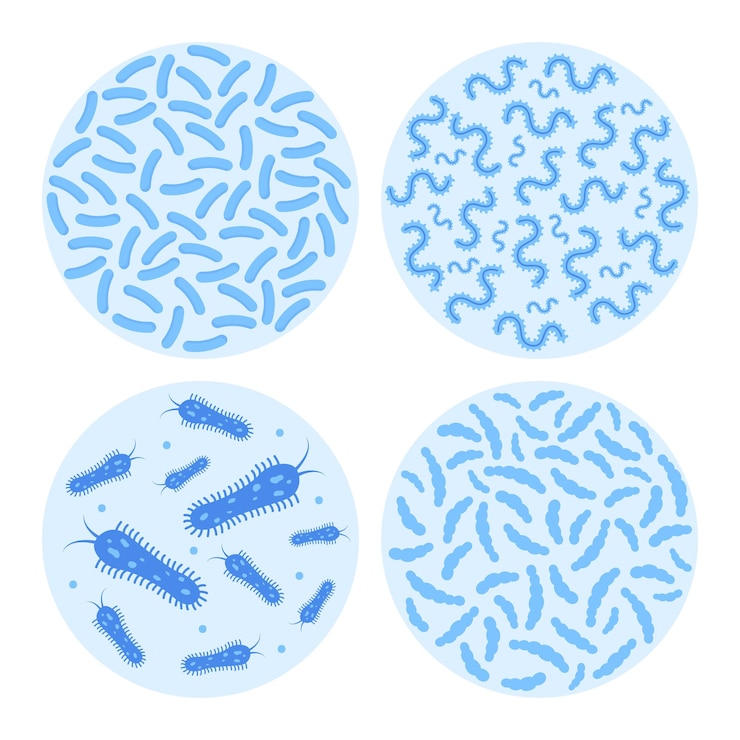 Vector bacterial flora in circle set different bacteria pathogenic microorganisms