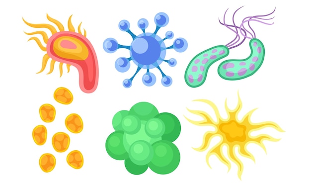 Bacterias and Germs Collection Different Types of Colorful Microbes Viruses Protozoans Fungi Vector Illustration on White Background