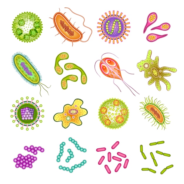 Vector bacteriën en viruscellen