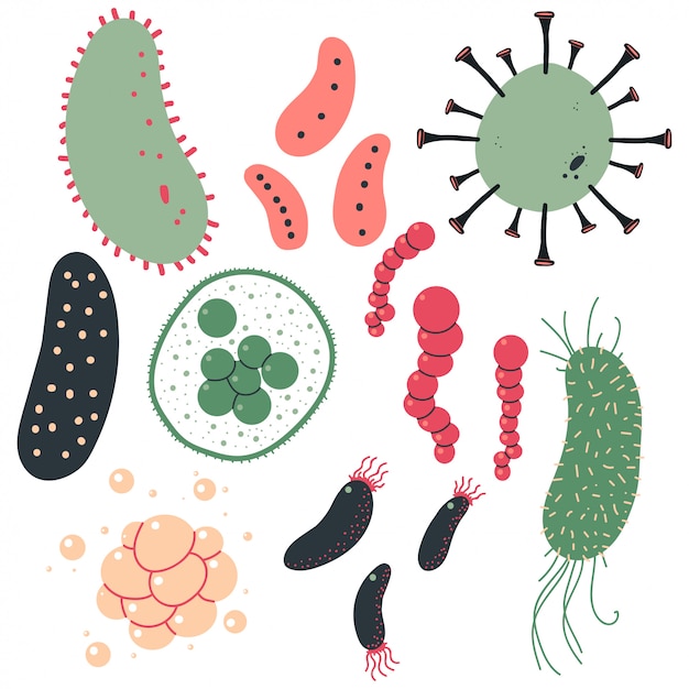 Vector bacteriën en virussen ingesteld.